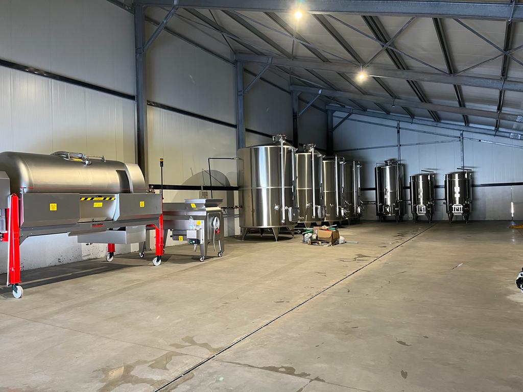 Produzione vermentino a Trinita' d'Agultu e Vignola